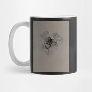 Black and Grey Trillium Drawing Mug